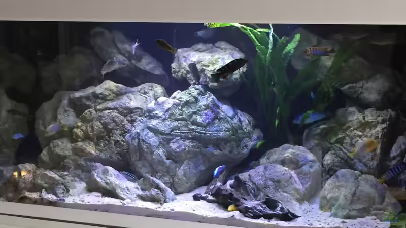 Ansicht fertig ... erst mal ´fertig´ II von MGR (6)