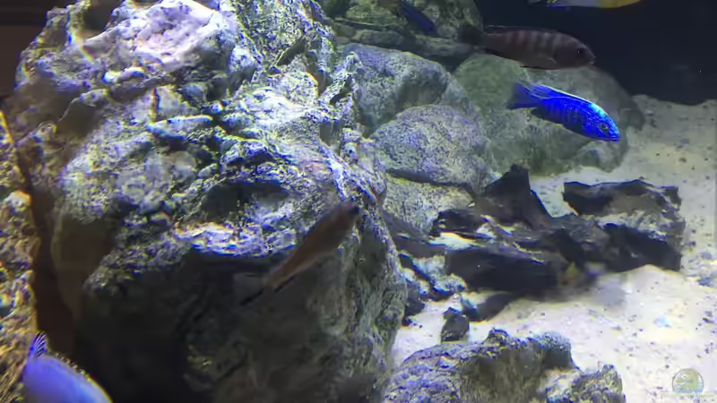 Ansicht fertig ... erst mal ´fertig´ III von MGR (7)