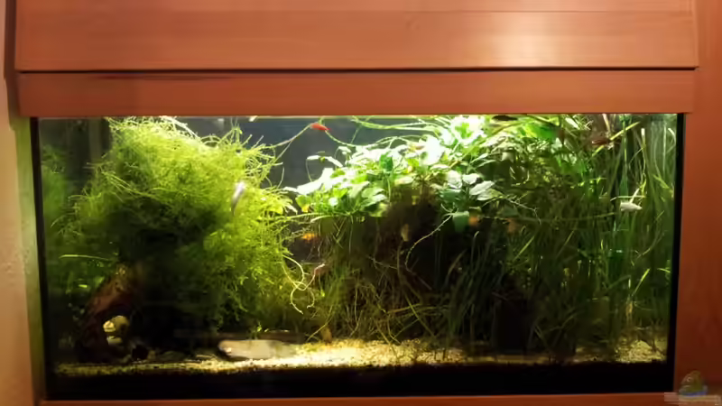 Ansicht Flur Okt. 2011 von Zwanni (2)