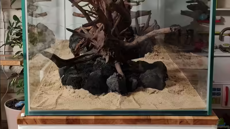 Ansicht Front von hange (16)