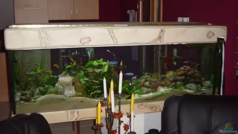 Ansicht hinten von Jochen Horn (3)