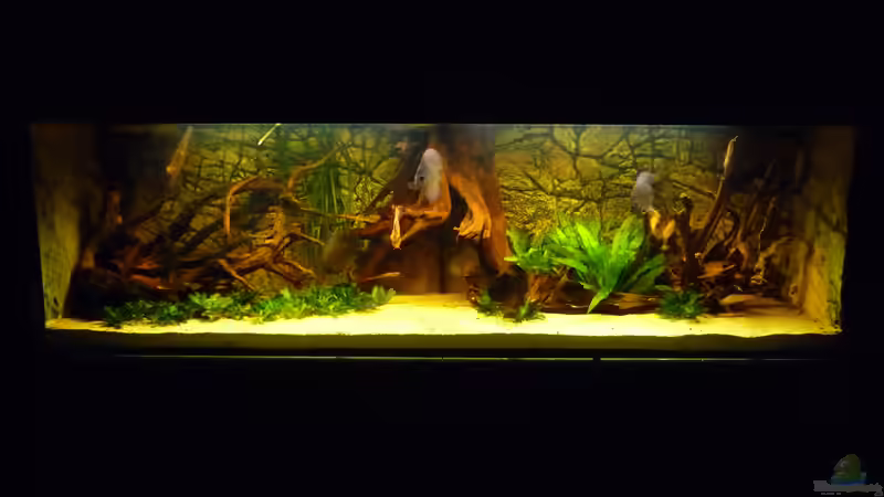 Ansicht im April 2015 von carkl (4)