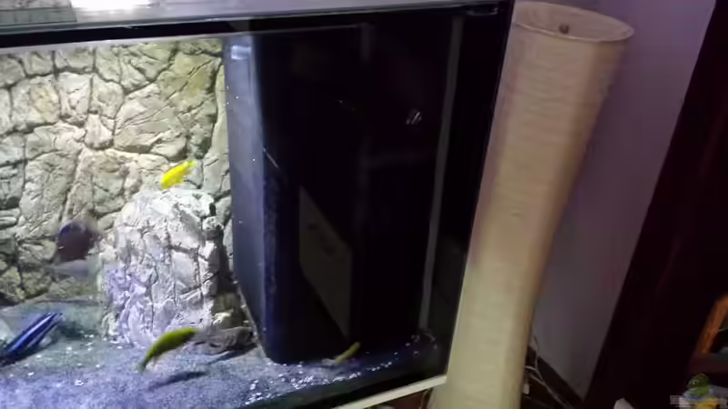 Ansicht im Aqua von Noah (24)