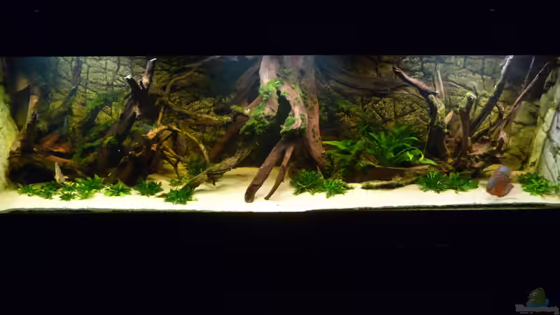 Ansicht im Januar 2016 von carkl (3)