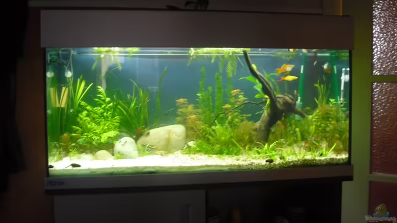 Ansicht komplett von Fireman (1)