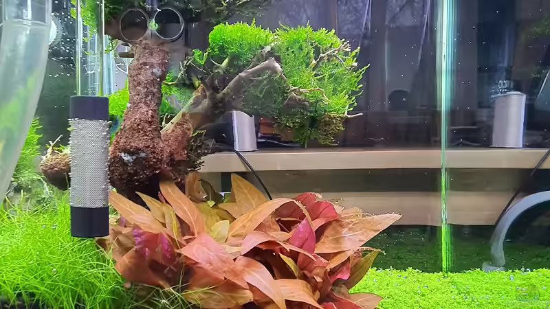 Ansicht Li 2020-12-12 von Marco B. (3)