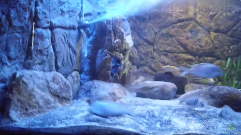 Ansicht linke Seite von Noah (9)