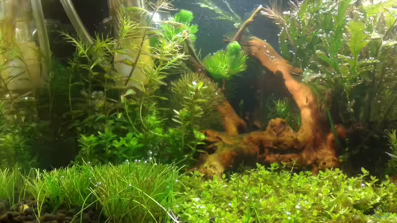 Ansicht links, 27.03.16 von Kai M (6)