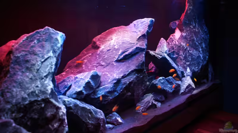 Ansicht Links  von Mondamin (2)