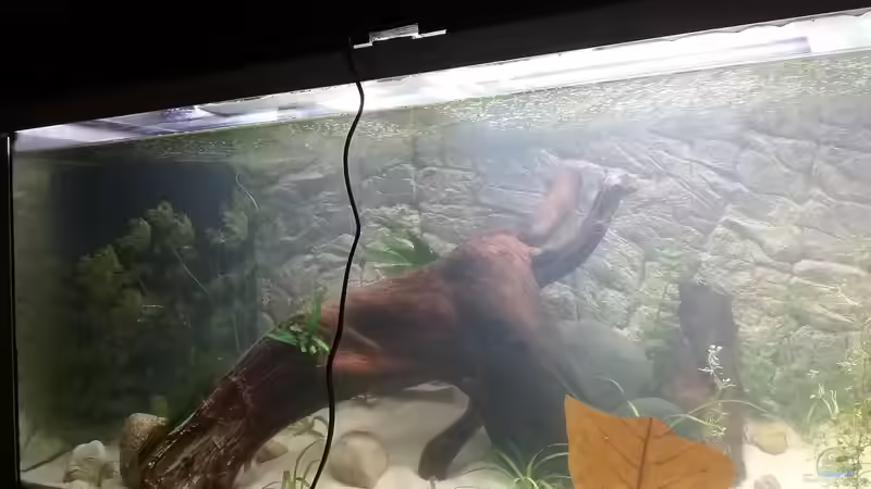 Ansicht links 04.01.2019 von Stefano83 (10)