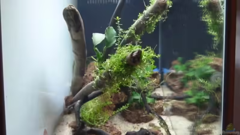 Ansicht links 17.03.2014 von Martin W. (3)