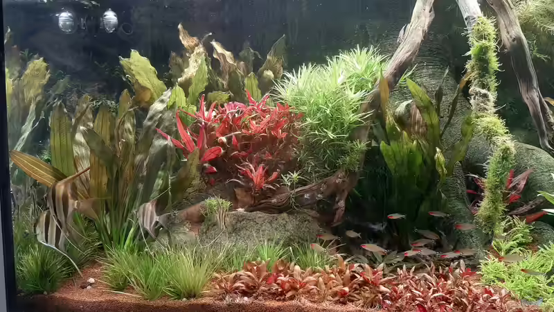 Ansicht links nach Umgestaltung 15.12.2020 von tripledad (10)