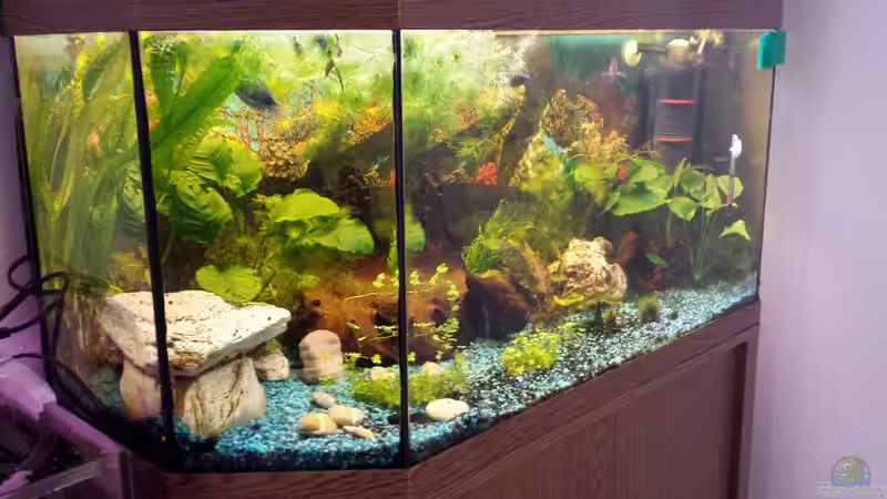 Ansicht links neu von mamo2000 (2)