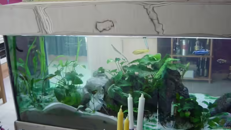 Ansicht links vom Wohnzimmer Lochgestein von Jochen Horn (5)