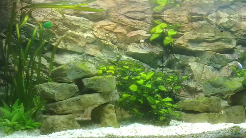 Ansicht links von GeneratorG (3)