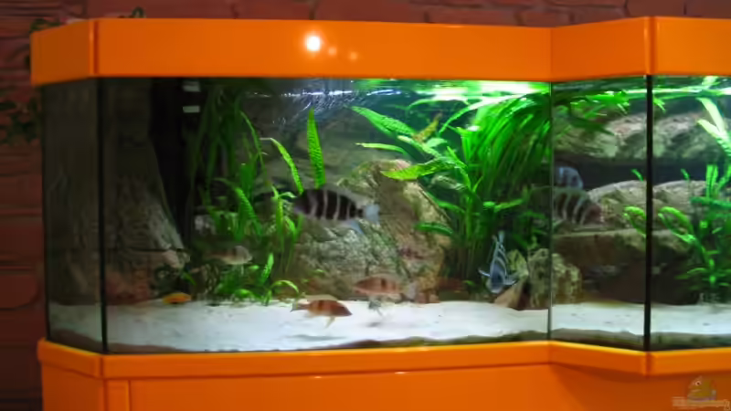 Ansicht links von Michaela Krause (7)