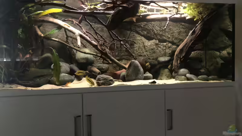 Ansicht Mai 2020 von Rubens (3)