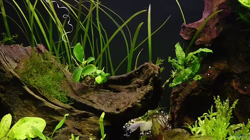 Ansicht mitte, November 08 von Carsten Gutsche (4)