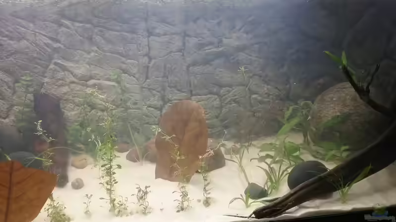 Ansicht mitte 04.01.2019 von Stefano83 (11)