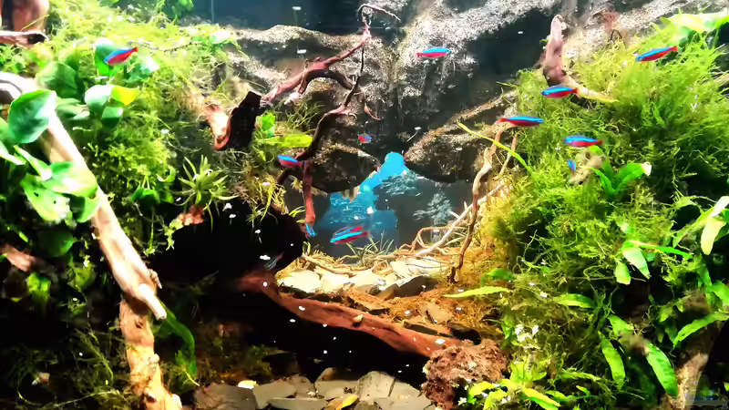 Ansicht Mitte von Bermuda 3eck (13)