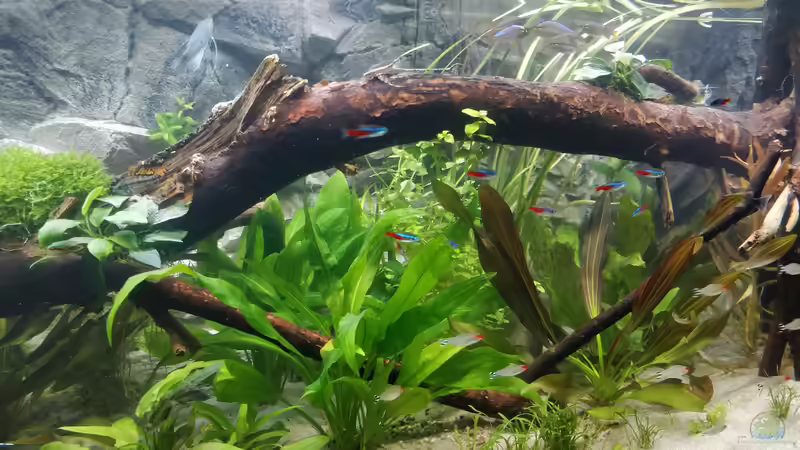 Ansicht mitte von Woidma (36)