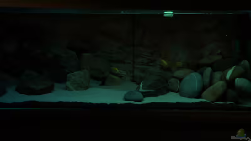 Ansicht Möglichkeiten Beleuchtungsänderung 1 von Richy (12)