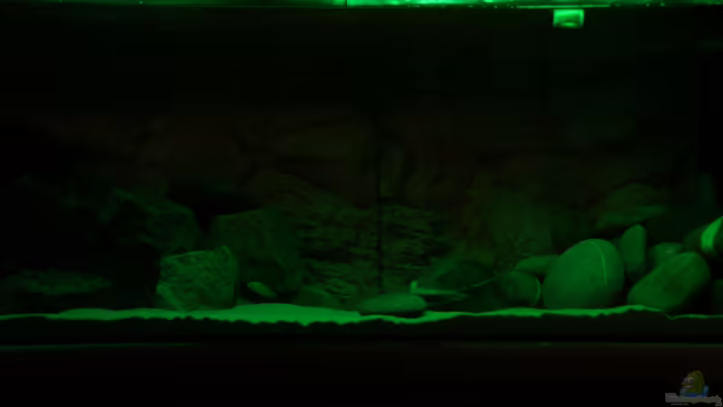 Ansicht Möglichkeiten Beleuchtungsänderung 4 von Richy (15)