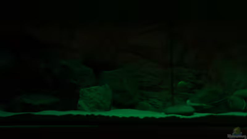 Ansicht Möglichkeiten Beleuchtungsänderung 5 von Richy (16)