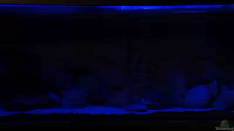 Ansicht Möglichkeiten Beleuchtungsänderung 6 von Richy (17)