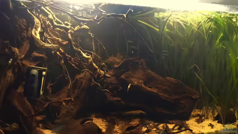 Ansicht Nebenfluss mit 11w Beleuchtung  von Raven887 (5)