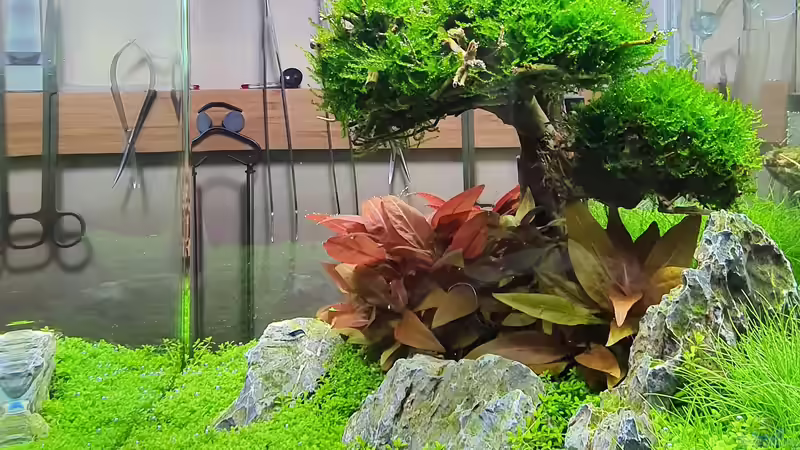 Ansicht Re 2020-12-12 von Marco B. (2)