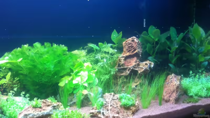 Ansicht rechte Seite - 30.01.2013 von Sascha T. (7)