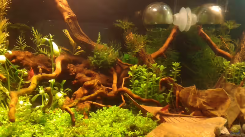 Ansicht rechts, 27.03.16 von Kai M (8)