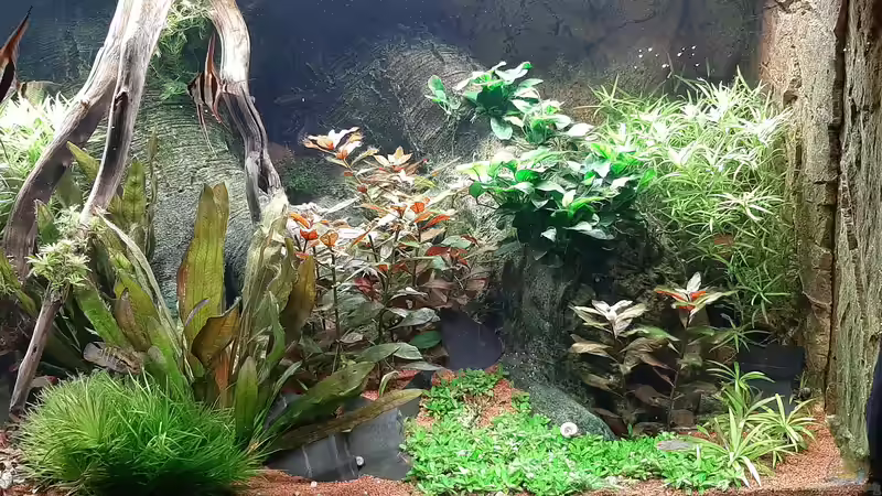 Ansicht rechts  von tripledad (5)