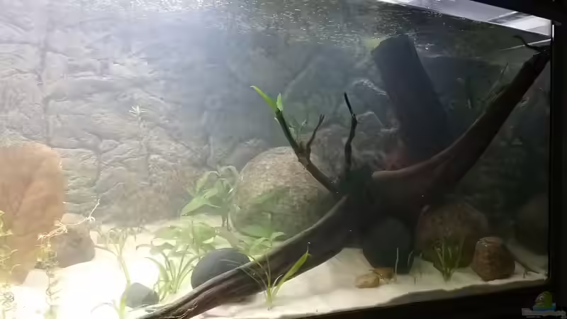 Ansicht rechts 04.01.2019 von Stefano83 (12)