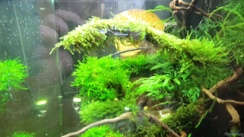 ansicht rechts 14.10 von Walde (17)