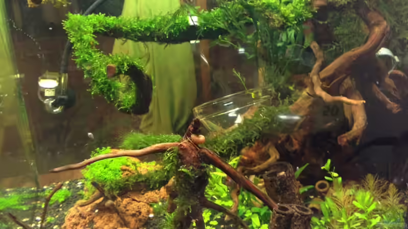 ansicht rechts 16.08.2012 von Walde (8)