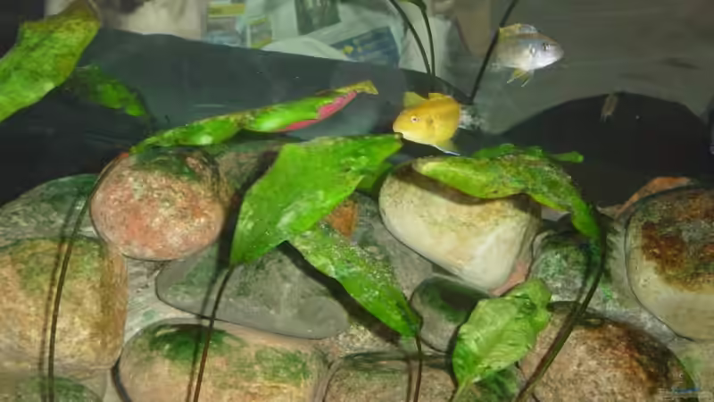 Ansicht rechts vom Wohnzimmer Muränenkies von Jochen Horn (6)