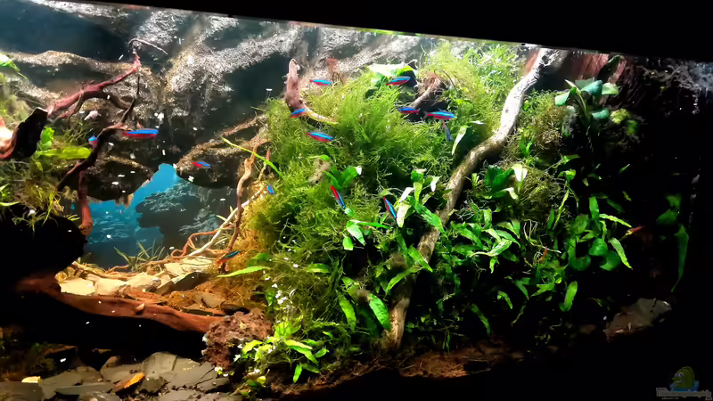 Ansicht rechts von Bermuda 3eck (15)