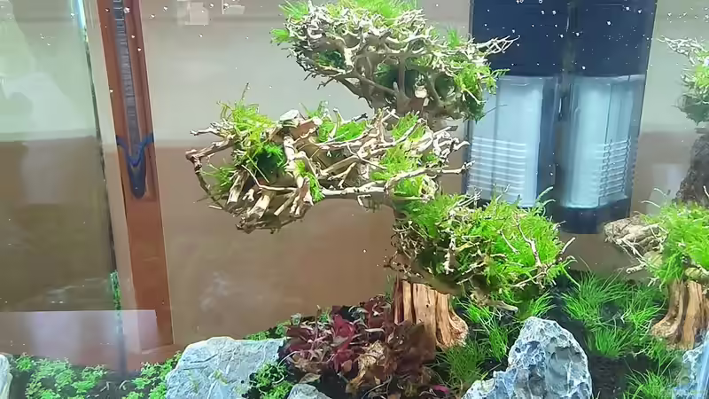 Ansicht Rechts von Marco B. (11)