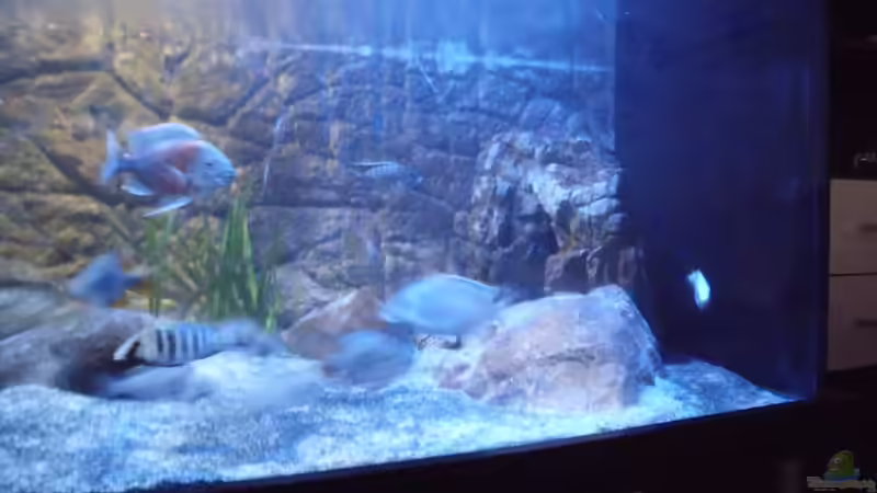 Ansicht rechts von Noah (10)