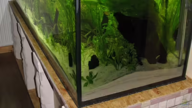 Ansicht seiltich von Sado-Uwe (4)