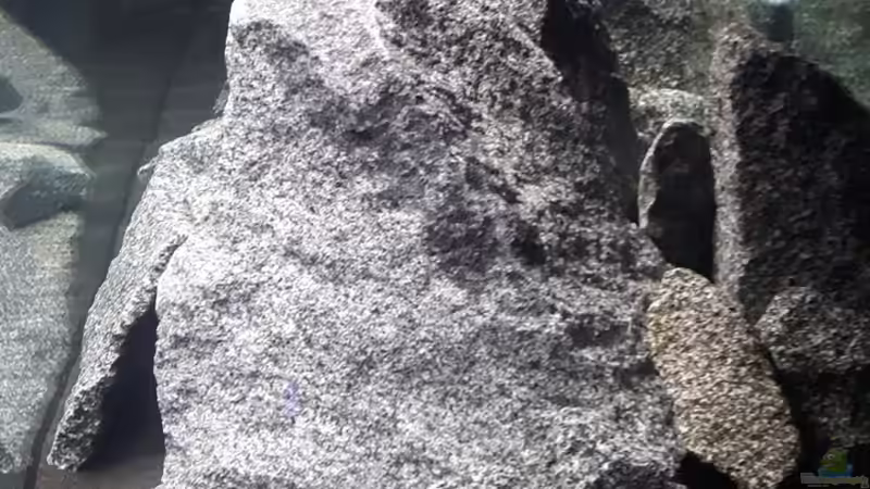 Ansicht Seite von Andal_Xx (3)