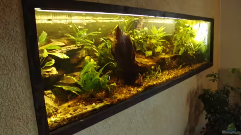 Ansicht v.l. von Peer Wojtkowiak (2)