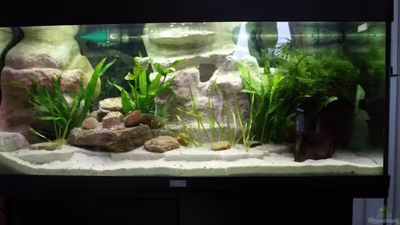 Ansicht vom 04.02.08 von Thomas Rengier (4)