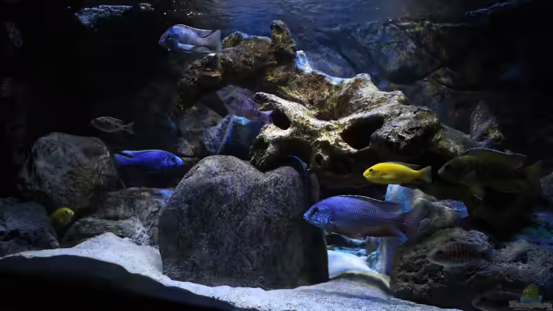 Ansicht vom 15.03.2015 von Steffen G (6)