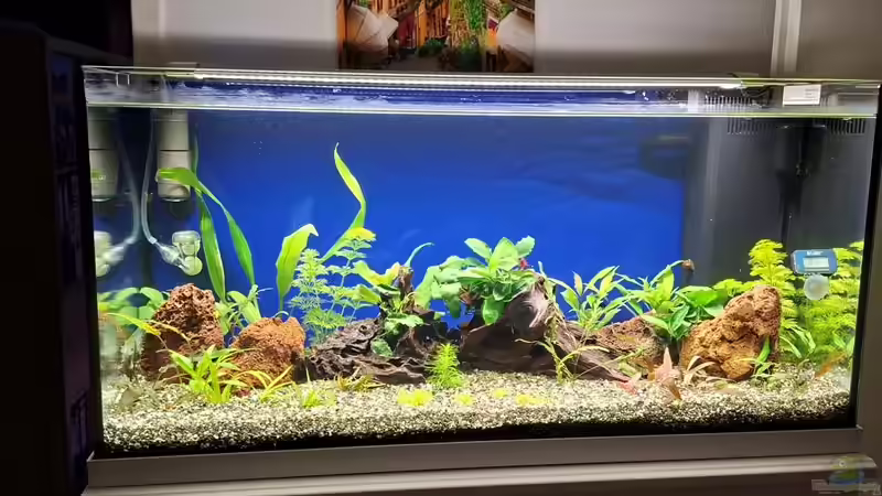 Ansicht vom 16.1.2026 von ernst11 (2)