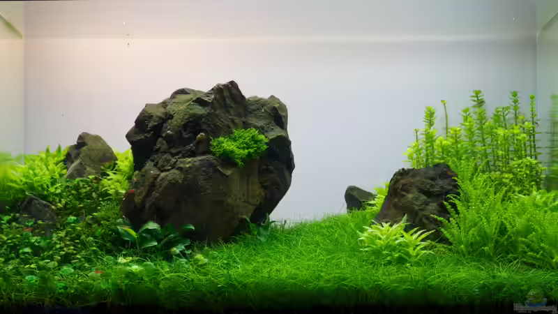 Ansicht vom 23.06.2013 von Micha... (9)