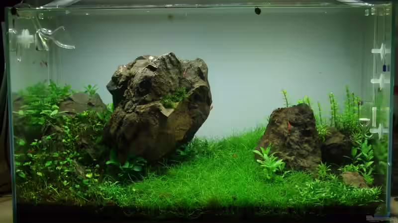 Ansicht vom 25.04.2013 von Micha... (7)