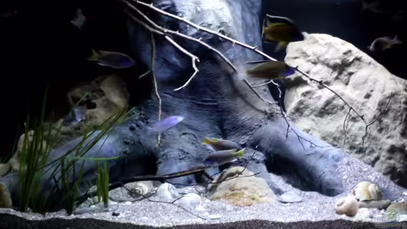 Ansicht vom Becken von Florian Bandhauer (71)